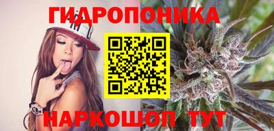 a pvp Краснокаменск