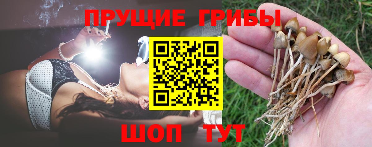 Галлюциногенные грибы Cubensis  где продают   Галлюциногенные грибы ЛСД  Ярославль  Вход с VPN 