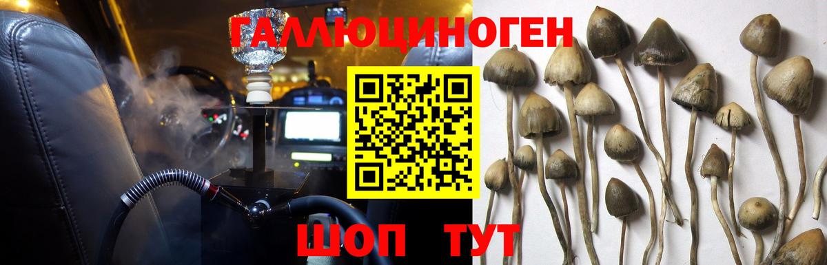 Псилоцибиновые грибы ЛСД Ярославль